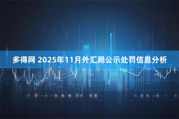 多得网 2025年11月外汇局公示处罚信息分析