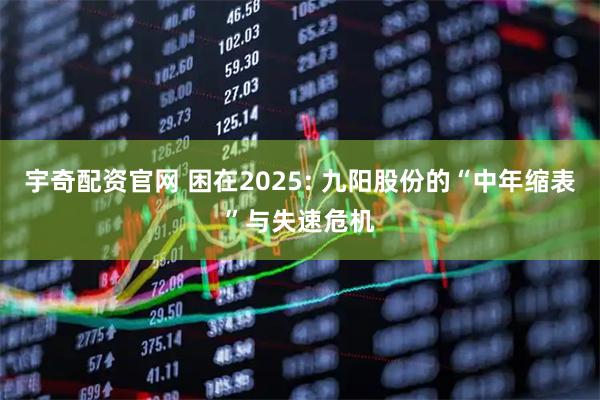 宇奇配资官网 困在2025: 九阳股份的“中年缩表”与失速危机
