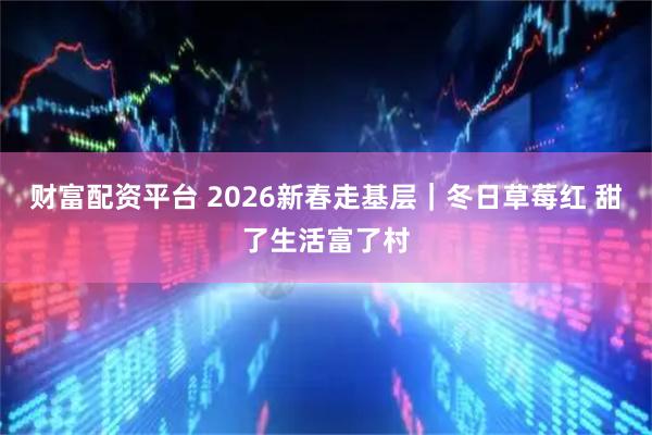 财富配资平台 2026新春走基层｜冬日草莓红 甜了生活富了村